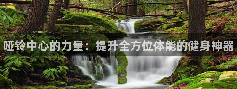 注册三亿体育官方正版app：哑铃中心的力量：提升全方