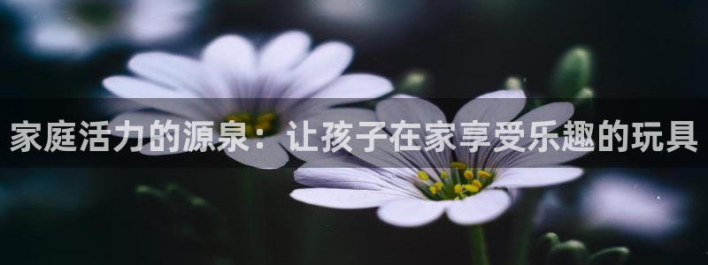 三亿体育官网下载招商电话地址是多少：家庭活力的源泉：