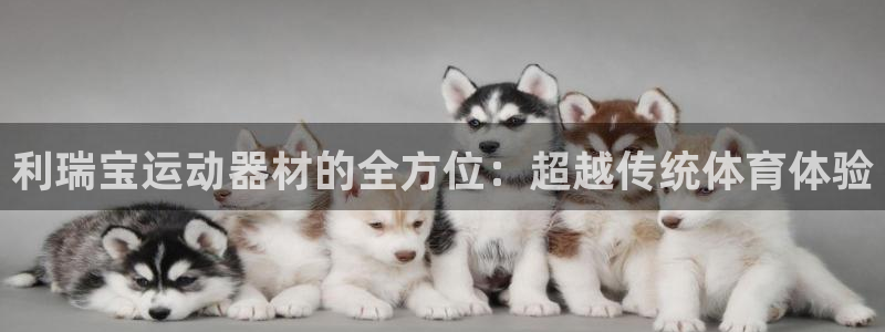 三亿体育官网下载官方客服电话：利瑞宝运动器材的全方位：超越传