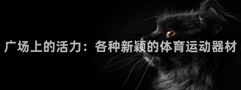 三亿体育官方正版app娱乐：广场上的活力：各种新颖的体育运动