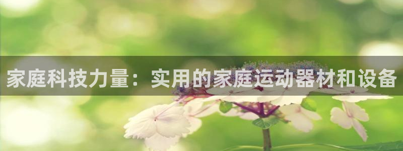 三亿体育官网下载招商电话号码是多少啊：家庭科技力量：实用的家