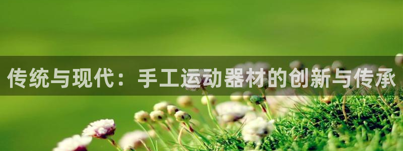 三亿体育官网下载平台注册要钱吗安全吗：传统与现代：手工运动器