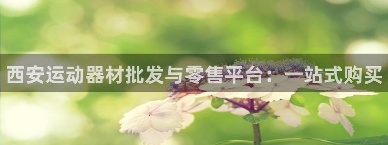 三亿官方平台体育：西安运动器材批发与零售平台：一站式