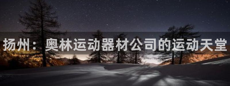 三亿体育官网下载招商电话：扬州：奥林运动器材公司的运