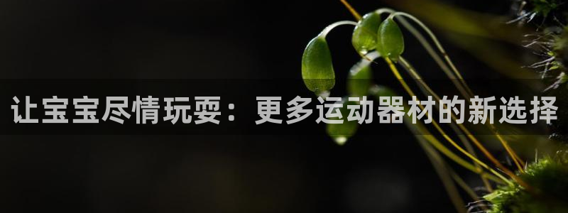 三亿体育官网下载招商电话