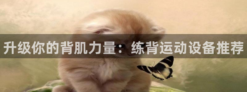 三亿体育官网下载开户