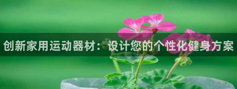 三亿体育官网下载是干嘛的公司：创新家用运动器材：设计您的个性