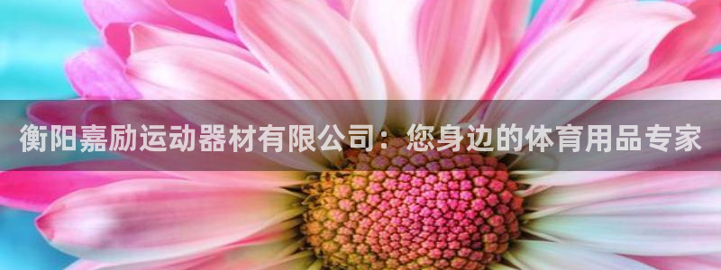 三亿官方平台体育