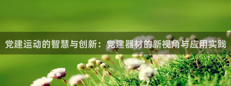 三亿体育官网下载官方客服电话：党建运动的智慧与创新：