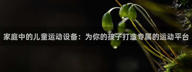 三亿体育官网下载招商电话号码查询