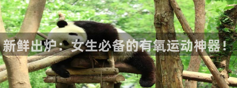 三亿体育官网下载招商：新鲜出炉：女生必备的有氧运动神器！