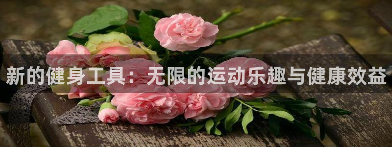 三亿体育官方正版app娱乐代理怎么样：新的健身工具：