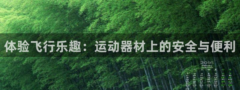三亿体育官网下载平台注册要钱吗安全吗：体验飞行乐趣：运动器材