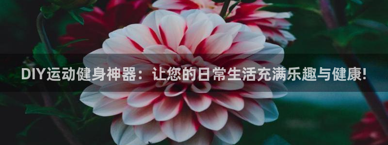 三亿体育官网下载招商电话号码查询：DIY运动健身神器：让您的