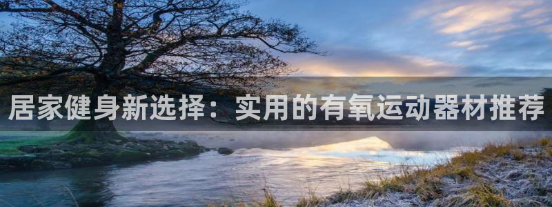 三亿体育官方正版app娱乐平台：居家健身新选择：实用的有氧运