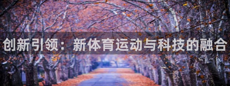 球王会体育