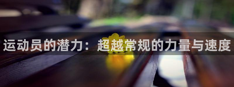 球王会体育