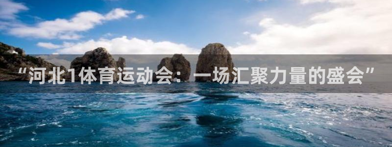 球王会体育