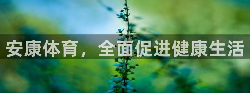 球王会体育