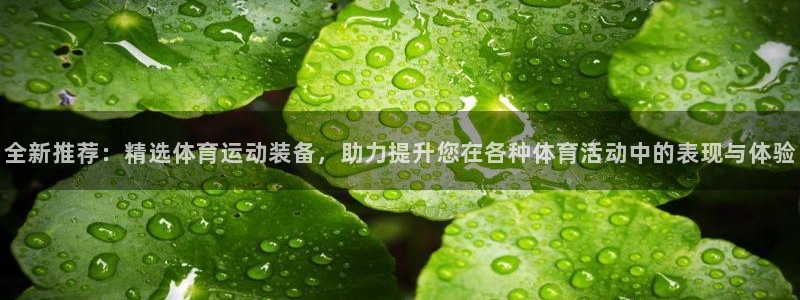 球王会体育：全新推荐：精选体育运动装备，助力提升您在各种体育活动中的表现与体验