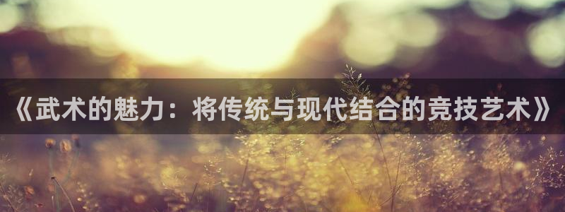 球王会体育