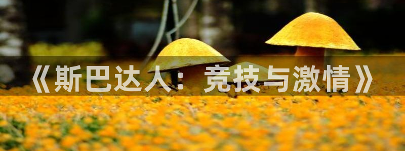 球王会体育：《斯巴达人：竞技与激情》