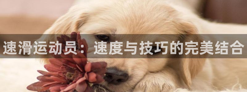 球王会体育：速滑运动员：速度与技巧的完美结合