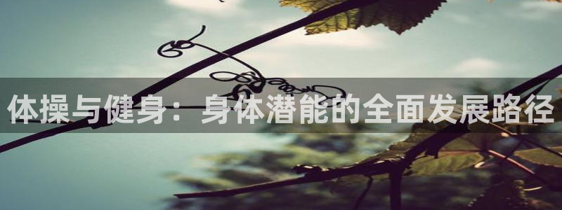 球王会体育