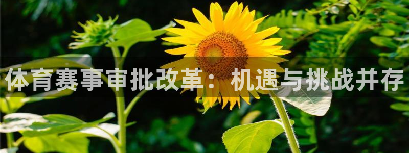 球王会体育