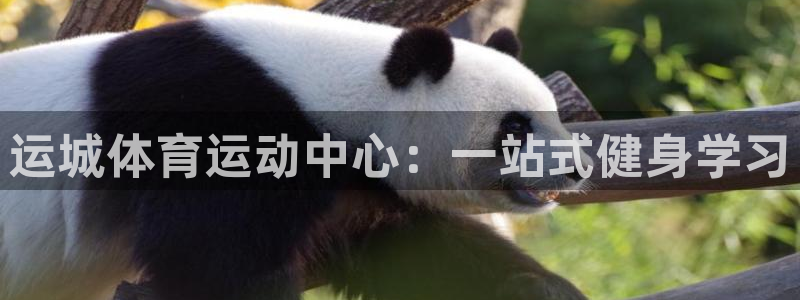 球王会体育：运城体育运动中心：一站式健身学习