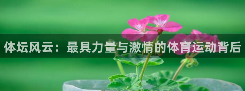球王会体育